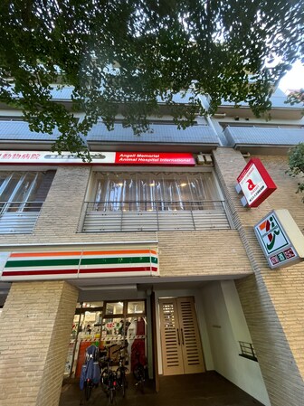 白金台アパートメントの物件内観写真